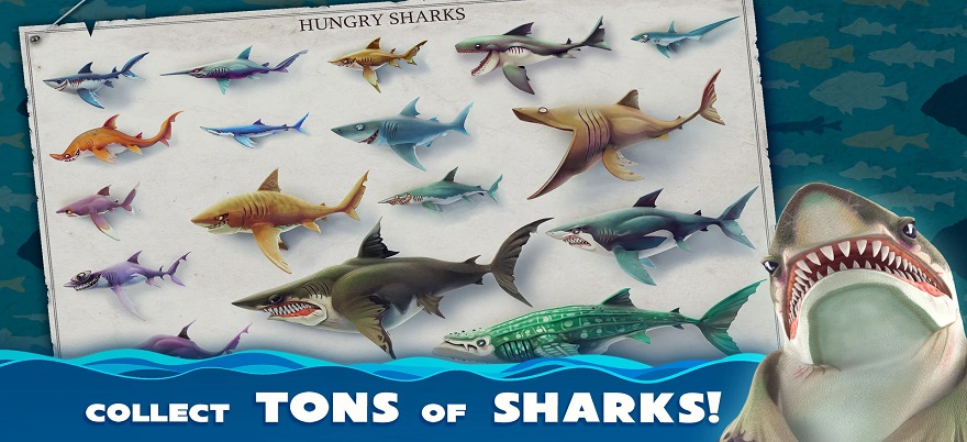 Hungry Shark World Mod APK - All Sharks Unlocked